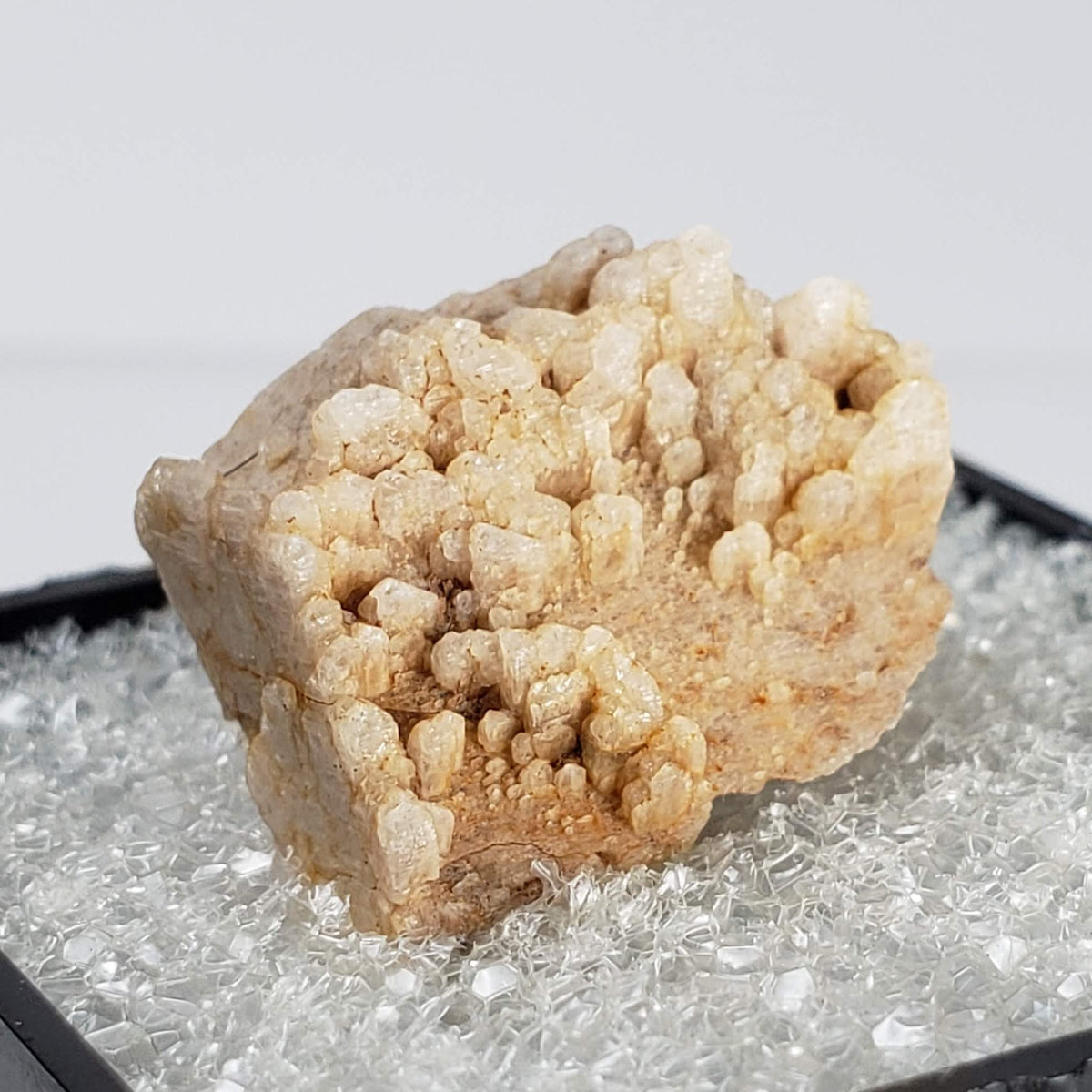  Albite on Orthoclase | Perky Box Thumbnail Specimen | Ossipee, NH, USA 4