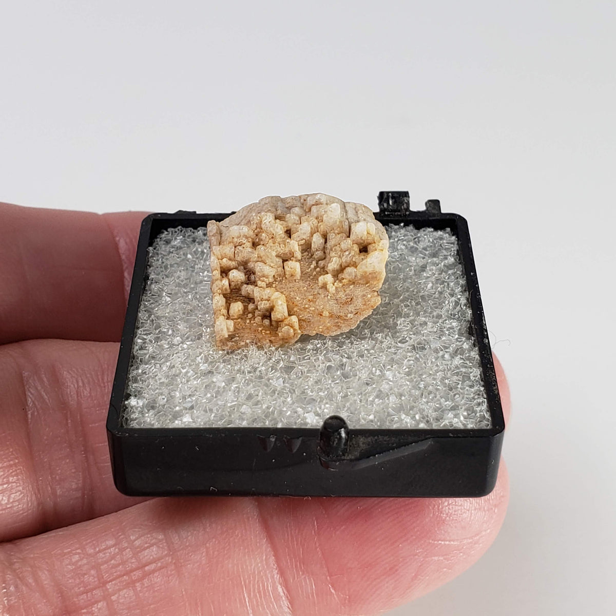  Albite on Orthoclase | Perky Box Thumbnail Specimen | Ossipee, NH, USA 5