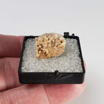  Albite on Orthoclase | Perky Box Thumbnail Specimen | Ossipee, NH, USA 5