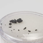  Allende Meteorite | 0.05 Gr | Fragment | CV3 Carbonaceous | Chihuahua, Mexico 1