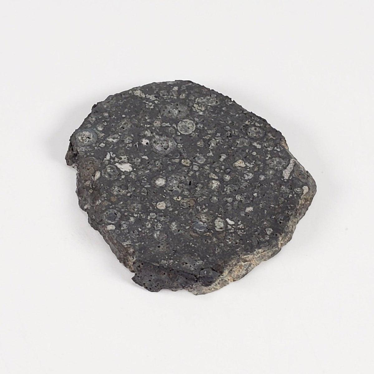  Allende Meteorite | 3.93 Gr | Part Slice | CV3 Carbonaceous | Chihuahua, Mexico | SO24 1