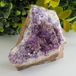  Amethyst Druse Mineral Crystal, Thunder Bay, Ontario, Canada | SO24 