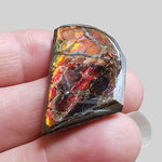  Ammolite Gem | Ammonite | Fancy Cabochon | 34x21mm 42.2ct | Canada 4