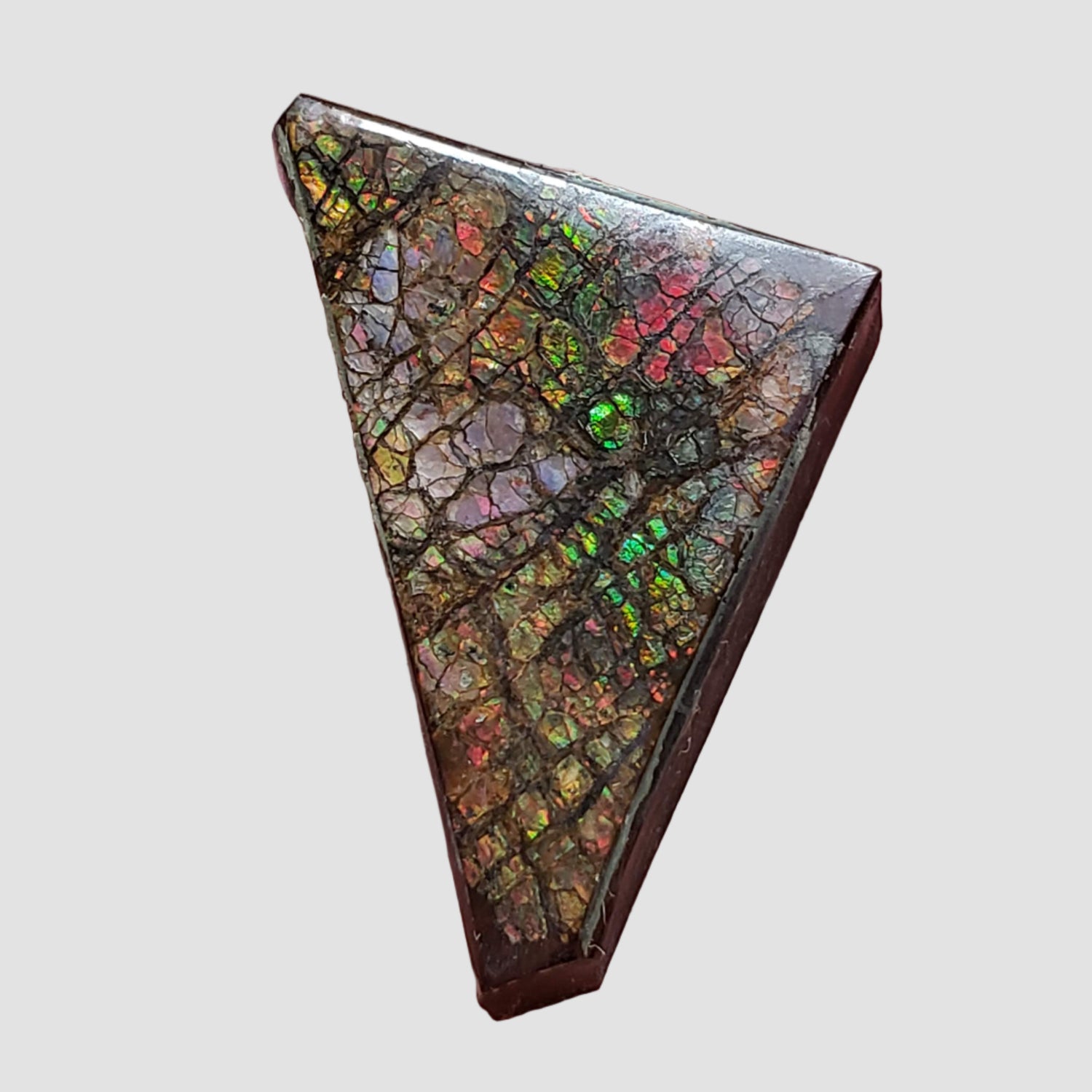  Ammolite Gem | Ammonite | Fancy Cabochon | 35.6x20.5mm 48.85ct | Canada 