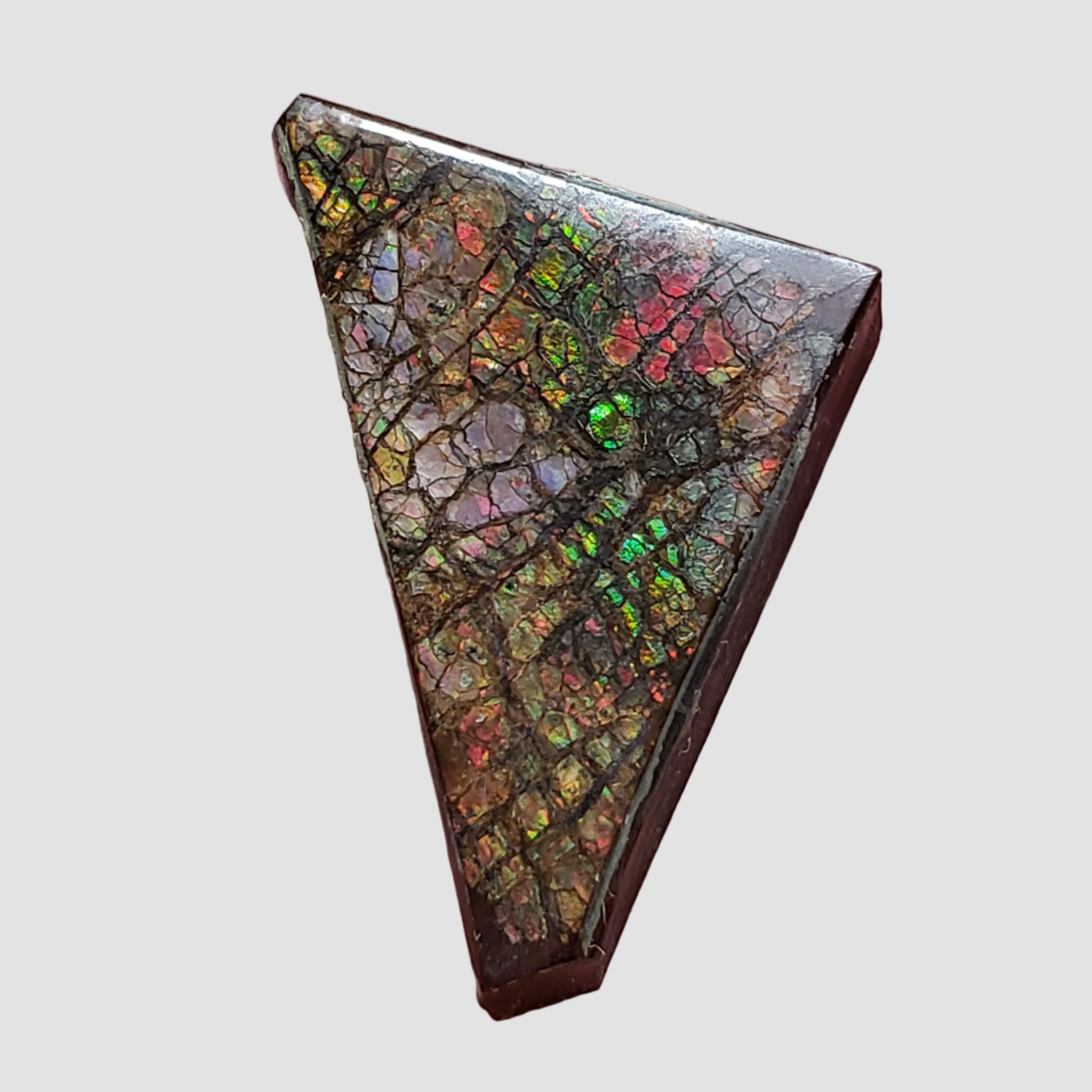  Ammolite Gem | Ammonite | Fancy Cabochon | 35.6x20.5mm 48.85ct | Canada 