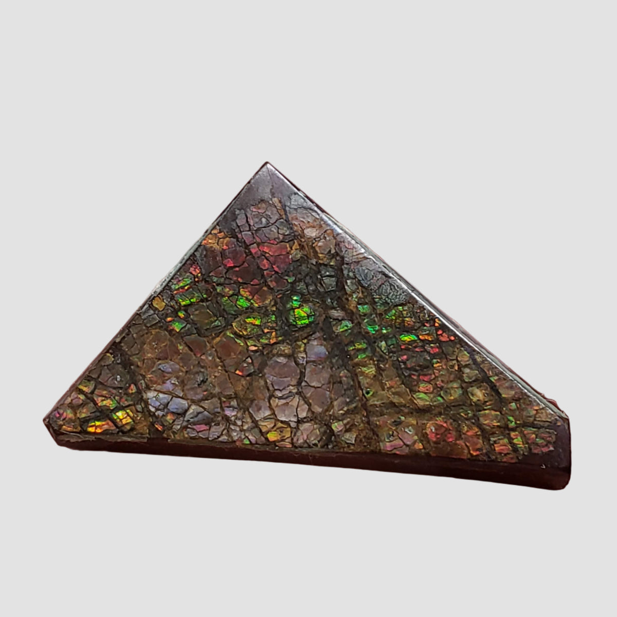  Ammolite Gem | Ammonite | Fancy Cabochon | 35.6x20.5mm 48.85ct | Canada 2