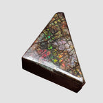  Ammolite Gem | Ammonite | Fancy Cabochon | 35.6x20.5mm 48.85ct | Canada 1