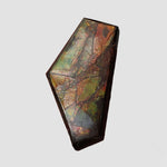  Ammolite Gem | Ammonite | Fancy Cabochon | 38x19mm 35ct | Canada 2