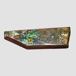  Ammolite Gem | Ammonite | Fancy Cabochon | 45.5x15mm 35.15ct | Canada 3