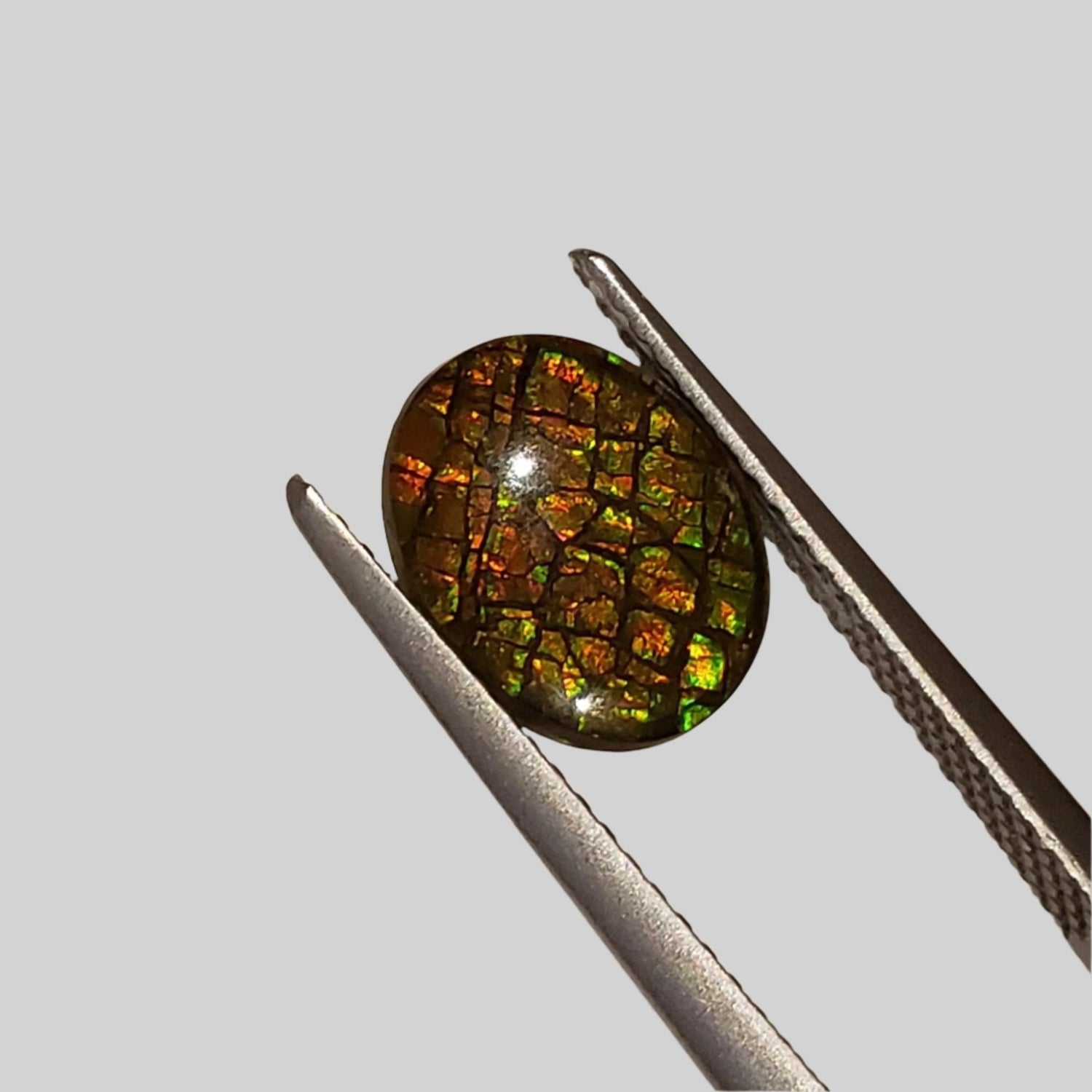  Ammolite Gem | Ammonite | Oval Cabochon | 10x8mm | Canada | SO24 1