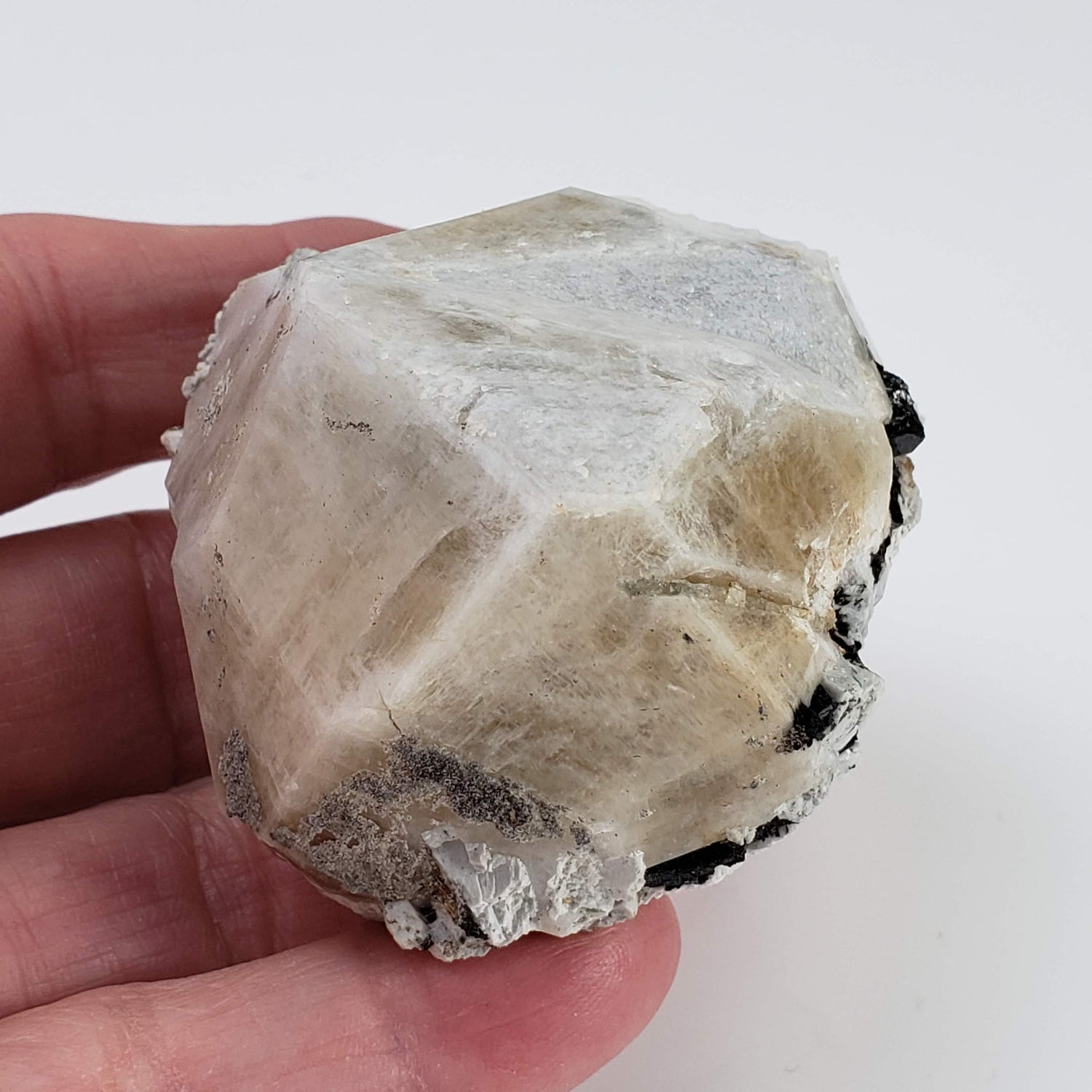  Analcime Crystal  | 142.77 grams | Poudrette Quarry, Mont-Saint-Hilaire, Canada 0