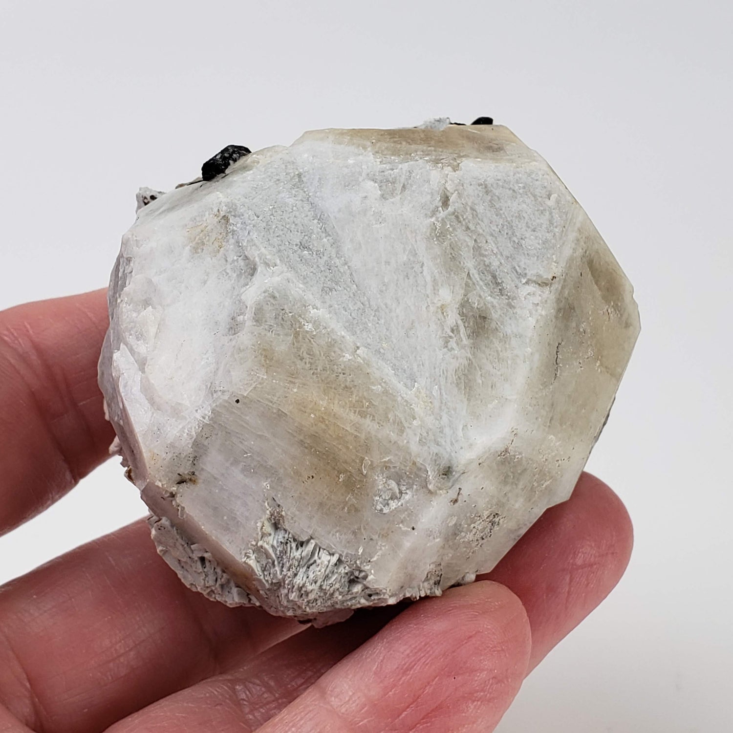  Analcime Crystal  | 142.77 grams | Poudrette Quarry, Mont-Saint-Hilaire, Canada 0