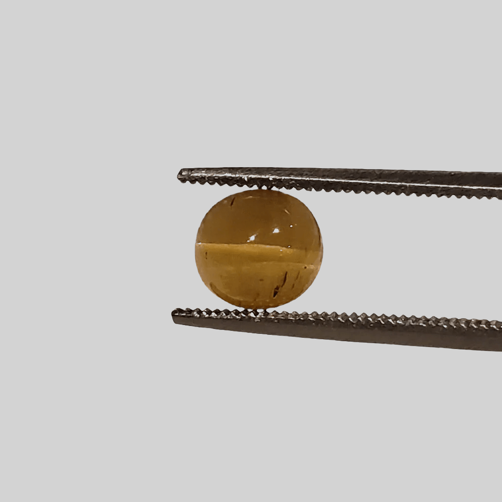  Apatite Cats Eye | Oval Cabochon | Honey Green | 7x6.5mm 1.5ct 