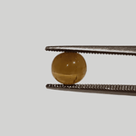  Apatite Cats Eye | Oval Cabochon | Honey Green | 7x6.5mm 1.5ct 1