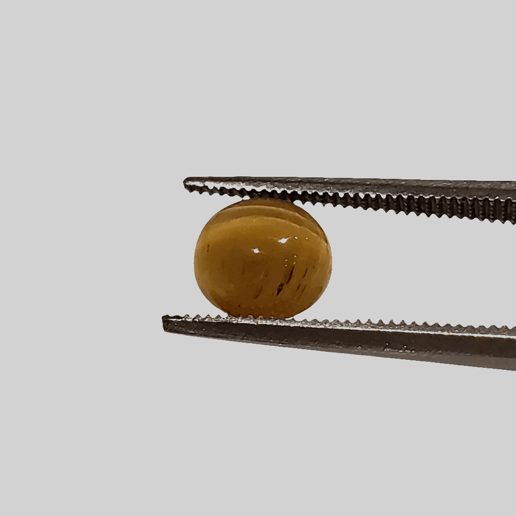  Apatite Cats Eye | Oval Cabochon | Honey Green | 7x6.5mm 1.5ct 2