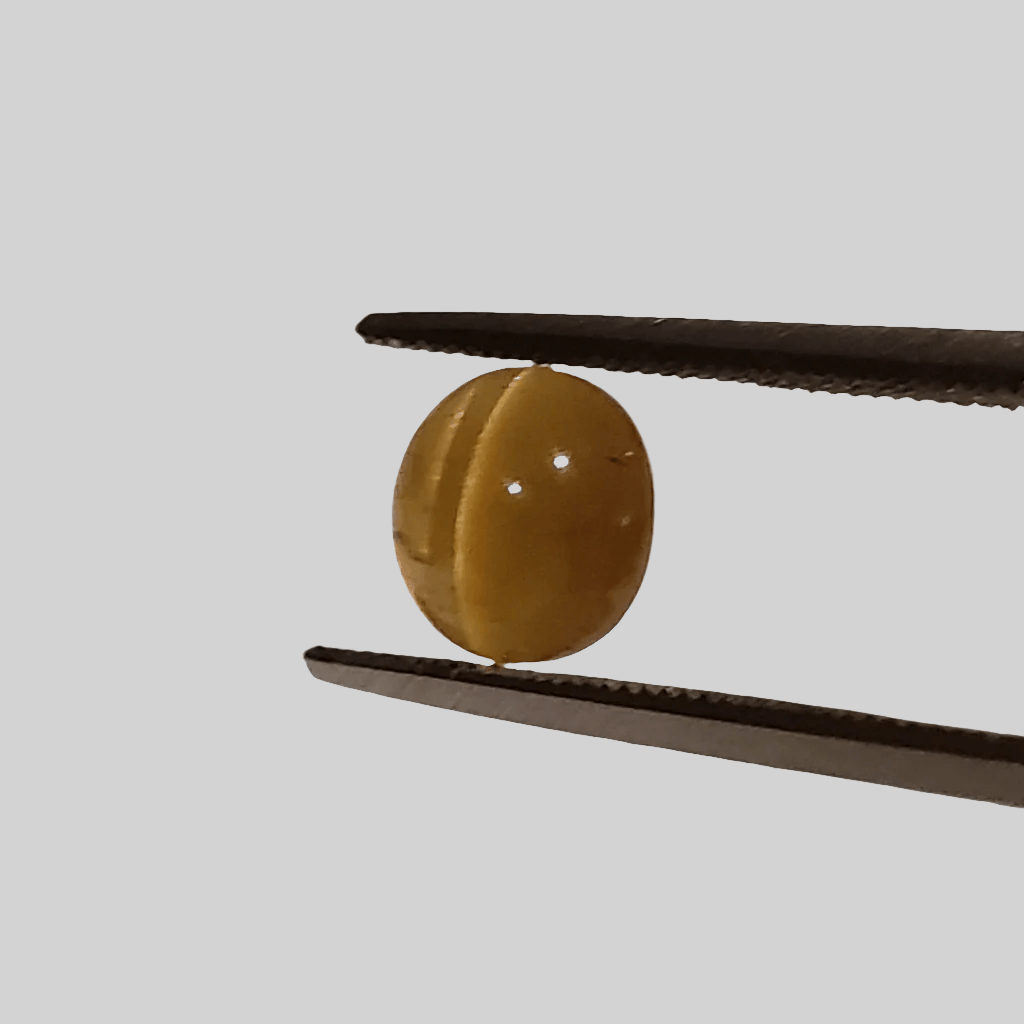  Apatite Cats Eye | Oval Cabochon | Honey Green | 7x6.5mm 1.5ct 5