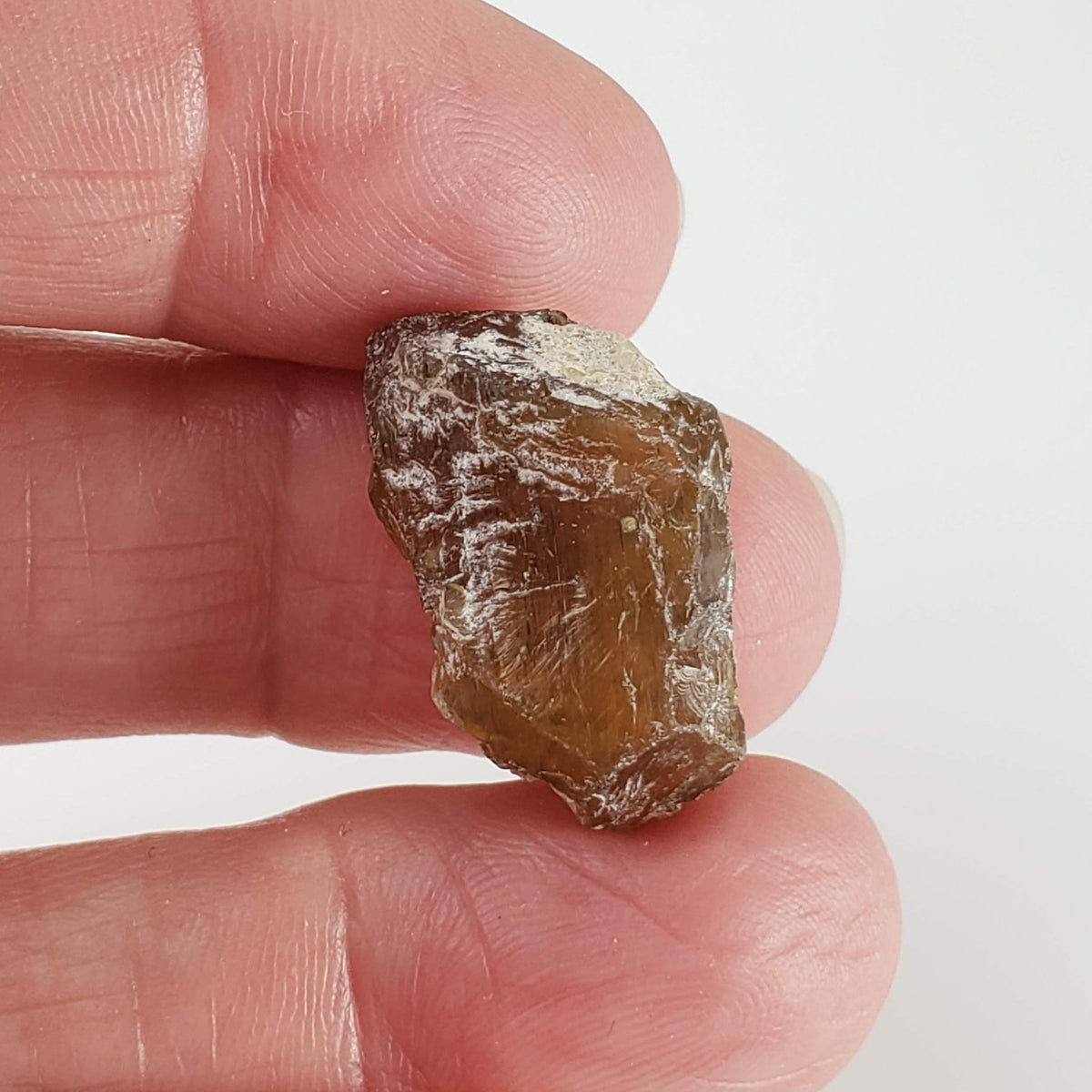  Apatite Cats Eye | Rough Apatite | Dark Olive Green | 22.34ct | Africa 5