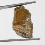  Apatite Cats Eye | Rough Apatite | Dark Olive Green | 22.34ct | Africa 