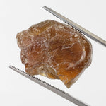  Apatite Cats Eye | Rough Apatite | Dark Olive Green | 35.32ct | Africa 2