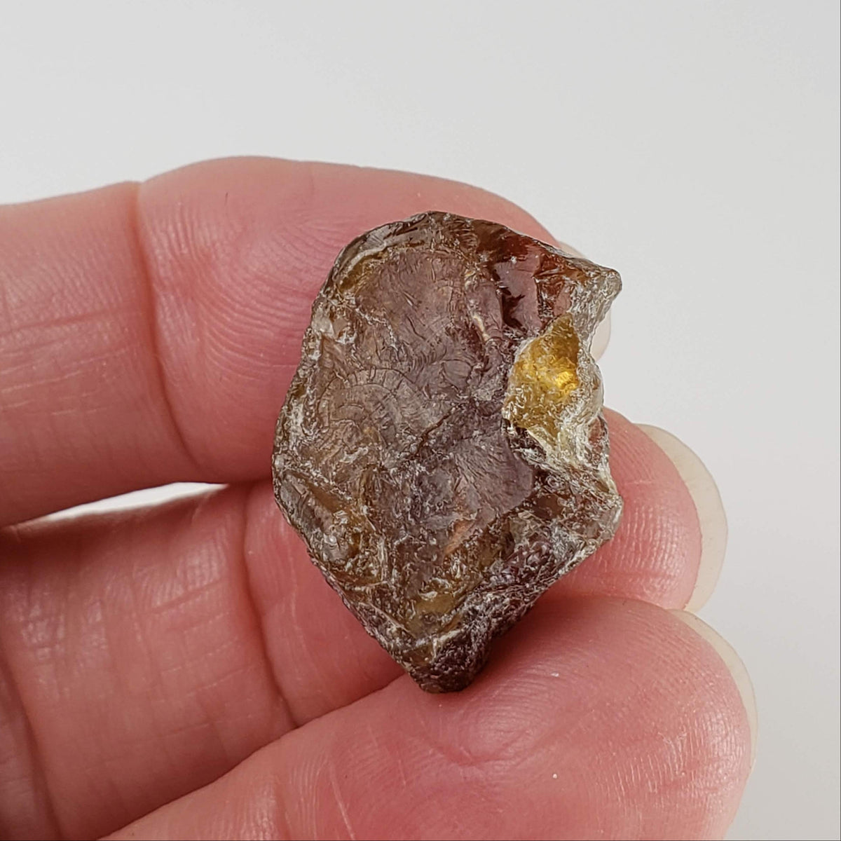  Apatite Cats Eye | Rough Apatite | Dark Olive Green | 35.32ct | Africa 7