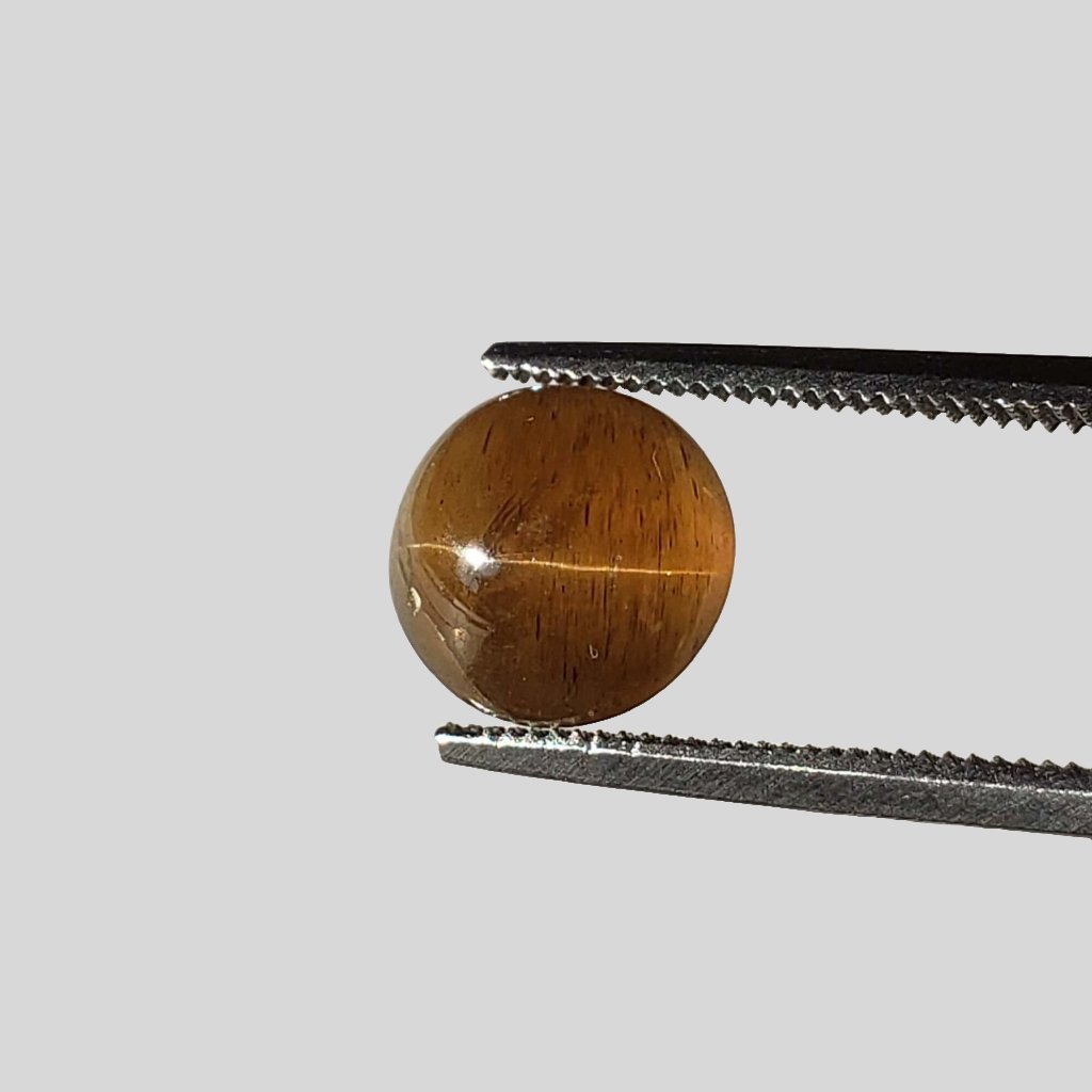  Apatite Cats Eye | Round Cabochon | Honey Brown | 8mm | SO24 