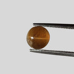  Apatite Cats Eye | Round Cabochon | Honey Brown | 8mm | SO24 