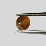  Apatite Cats Eye | Round Cabochon | Honey Brown | 8mm | SO24 1
