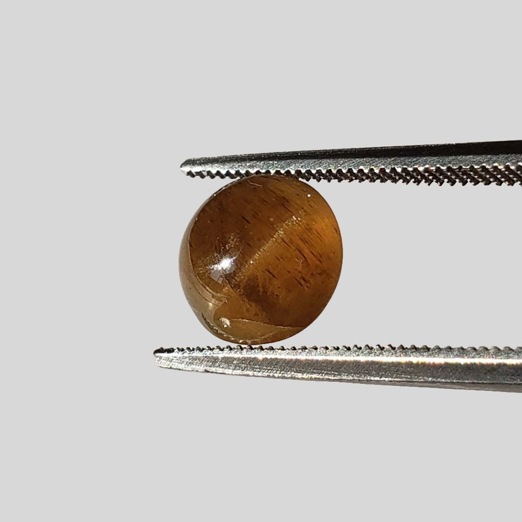 Apatite Cats Eye | Round Cabochon | Honey Brown | 8mm | SO24 1