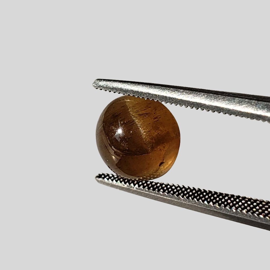  Apatite Cats Eye | Round Cabochon | Honey Brown | 8mm | SO24 2