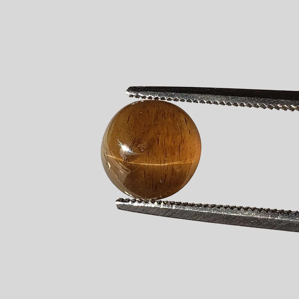  Apatite Cats Eye | Round Cabochon | Honey Brown | 8mm | SO24 3