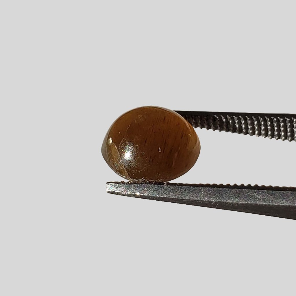  Apatite Cats Eye | Round Cabochon | Honey Brown | 8mm | SO24 4