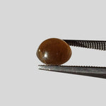  Apatite Cats Eye | Round Cabochon | Honey Brown | 8mm | SO24 4