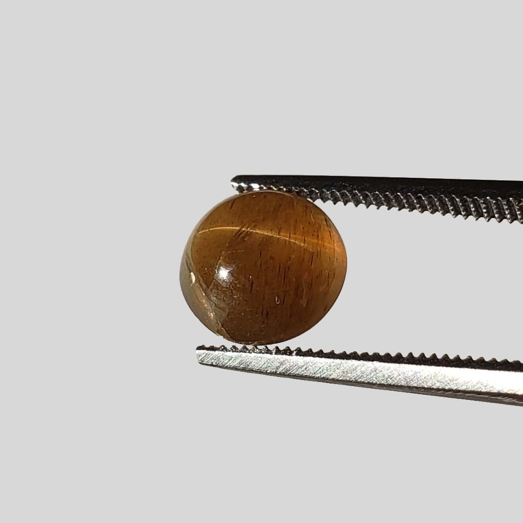  Apatite Cats Eye | Round Cabochon | Honey Brown | 8mm | SO24 5