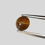  Apatite Cats Eye | Round Cabochon | Honey Brown | 8mm | SO24 6