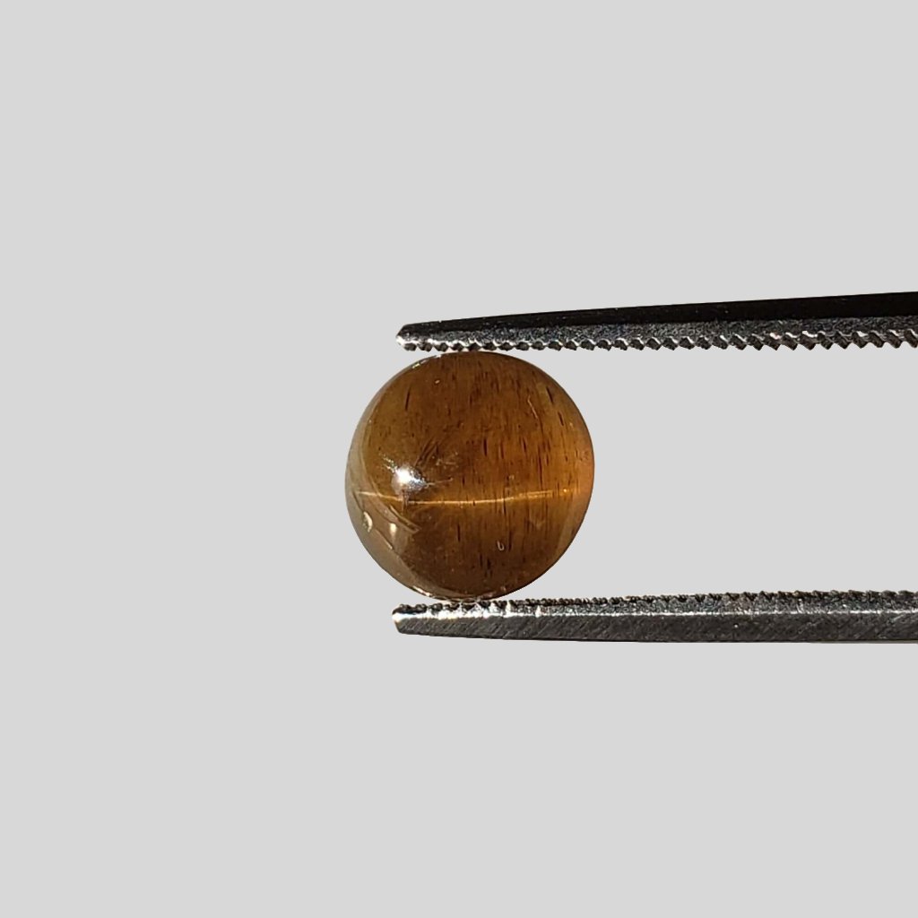  Apatite Cats Eye | Round Cabochon | Honey Brown | 8mm | SO24 7