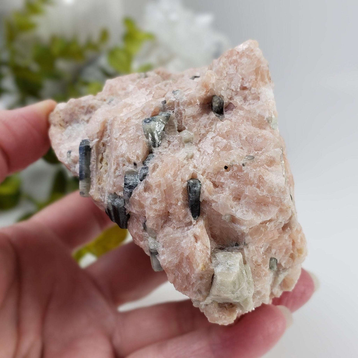  Apatite Crystals | Calcite Matrix Mineral | 662 Gr | Eastern Ontario, Canada 4