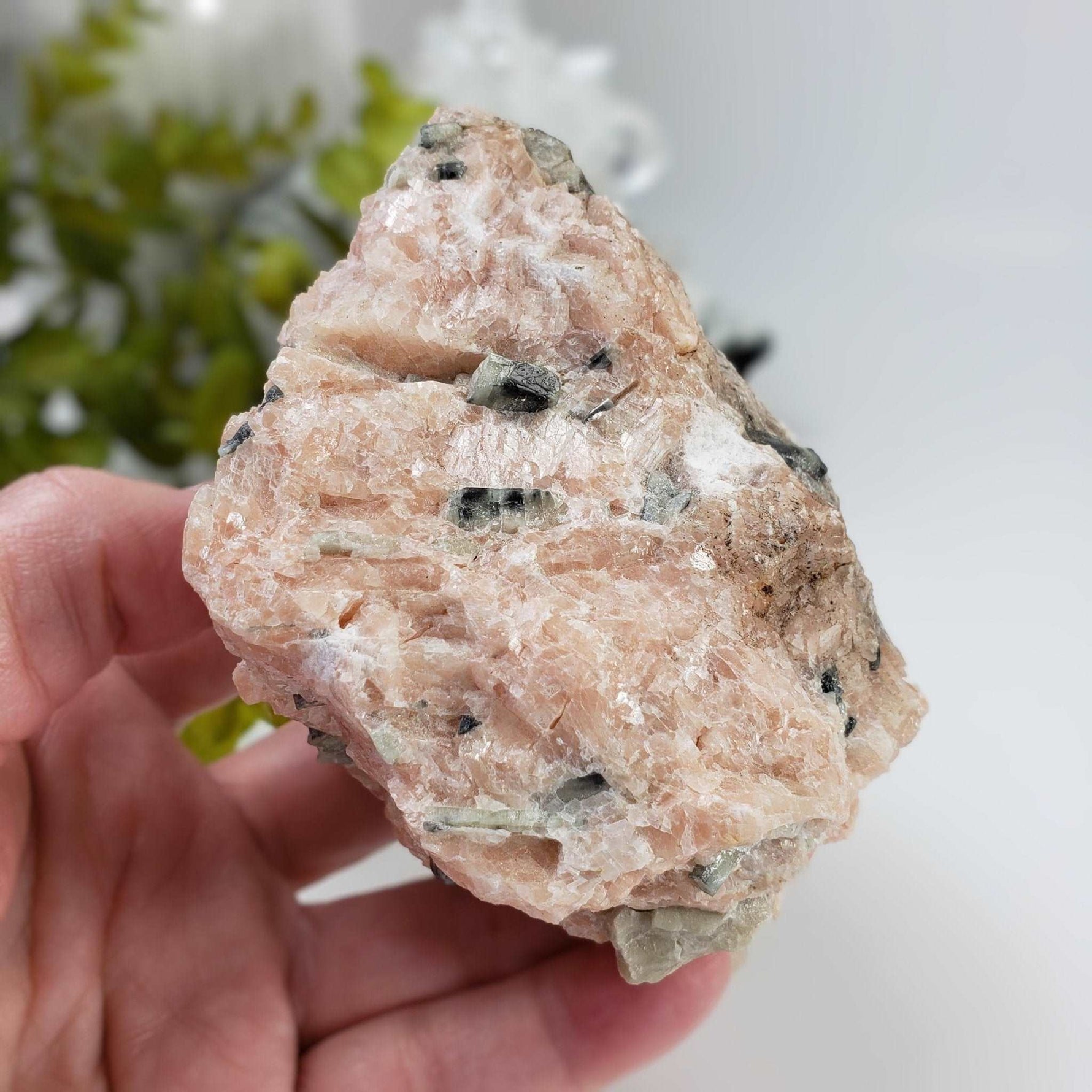  Apatite Crystals | Calcite Matrix Mineral | 662 Gr | Eastern Ontario, Canada 5