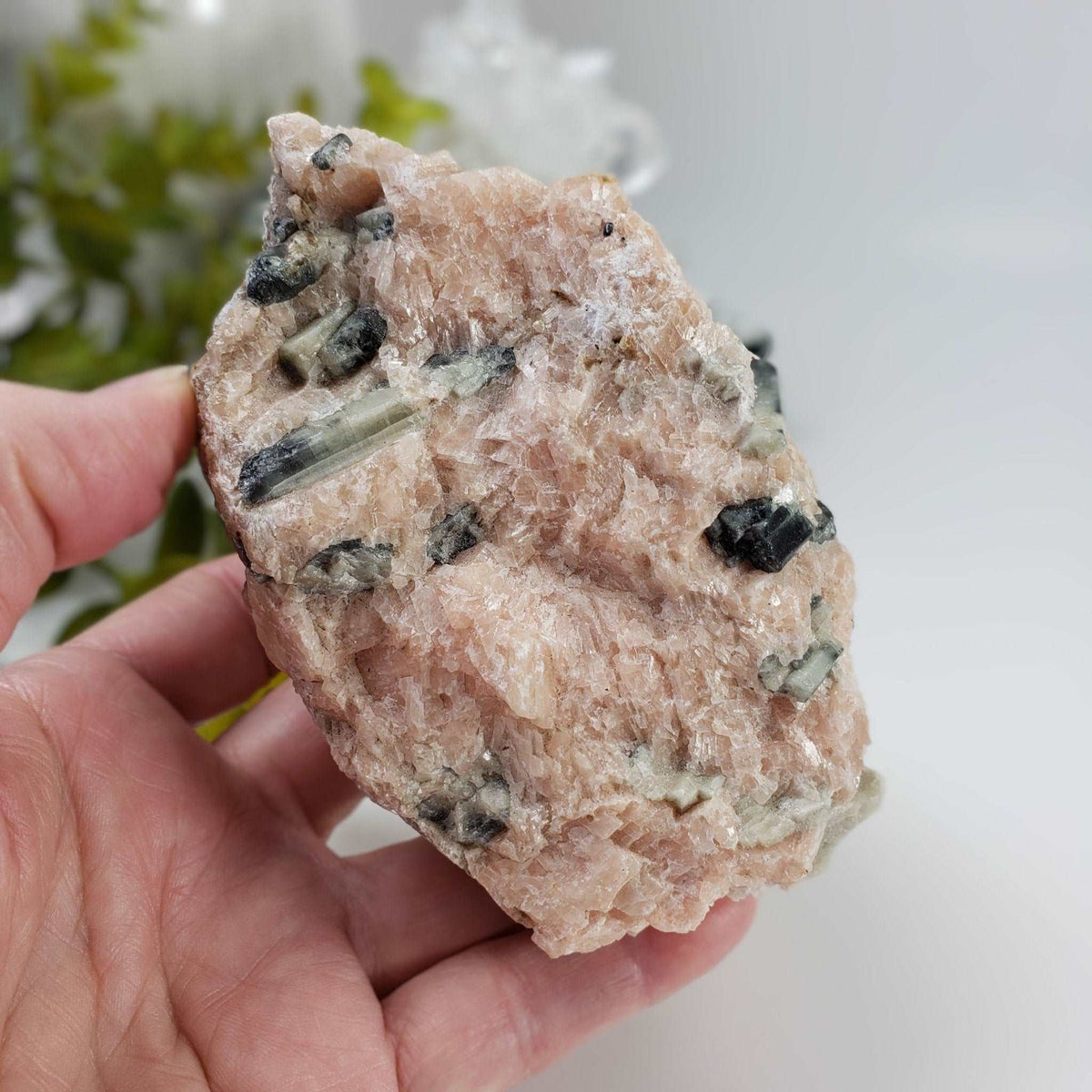  Apatite Crystals | Calcite Matrix Mineral | 662 Gr | Eastern Ontario, Canada 6