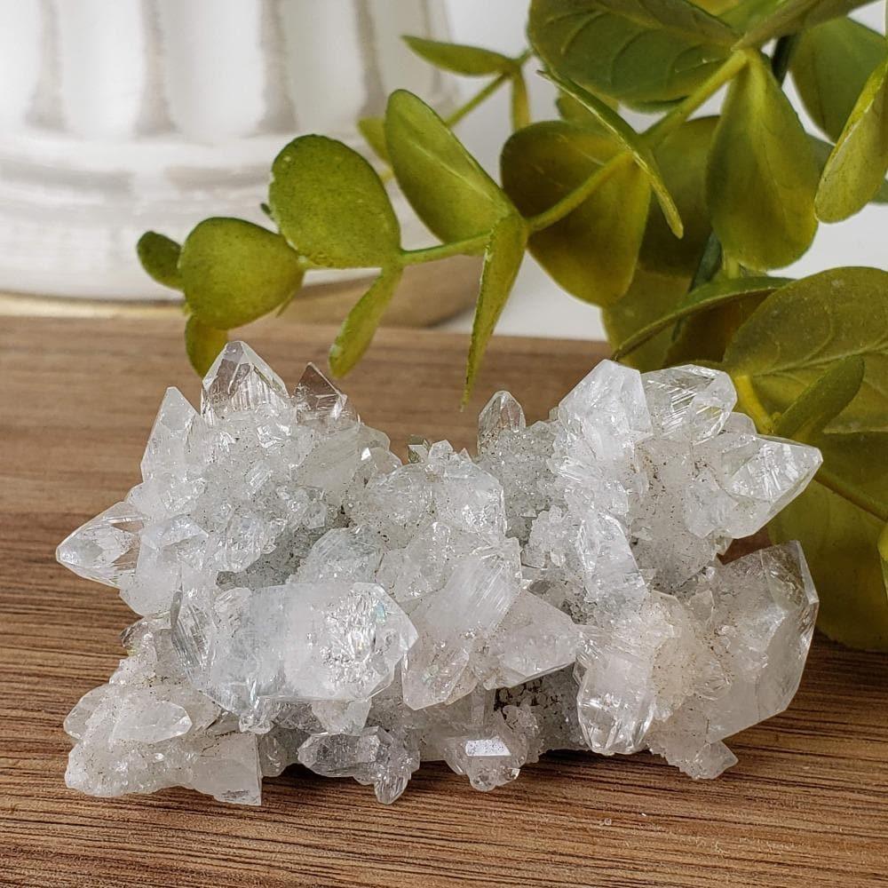 Apophyllite and Prehnite Cluster Bombay, India SO24 