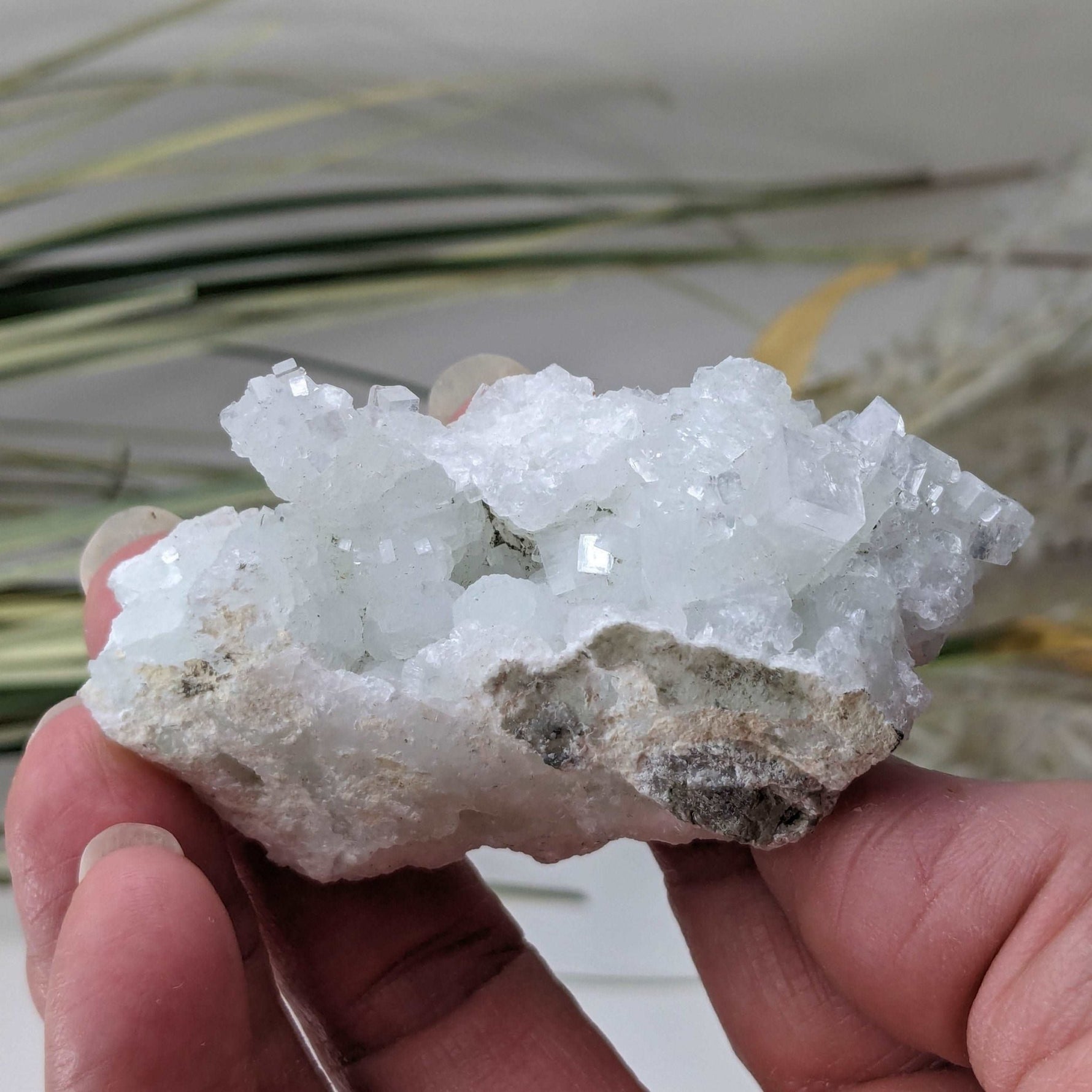 Apophyllite and Prehnite Cluster Crystal | 104 grams | Mumbai, India SO24 9