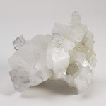 Apophyllite and Prehnite Crystal Cluster | 100 grams | Mumbai, India 0