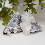  Apophyllite and Stilbite on Chalcedony Druse | 302gr | Jalgaon, India 5