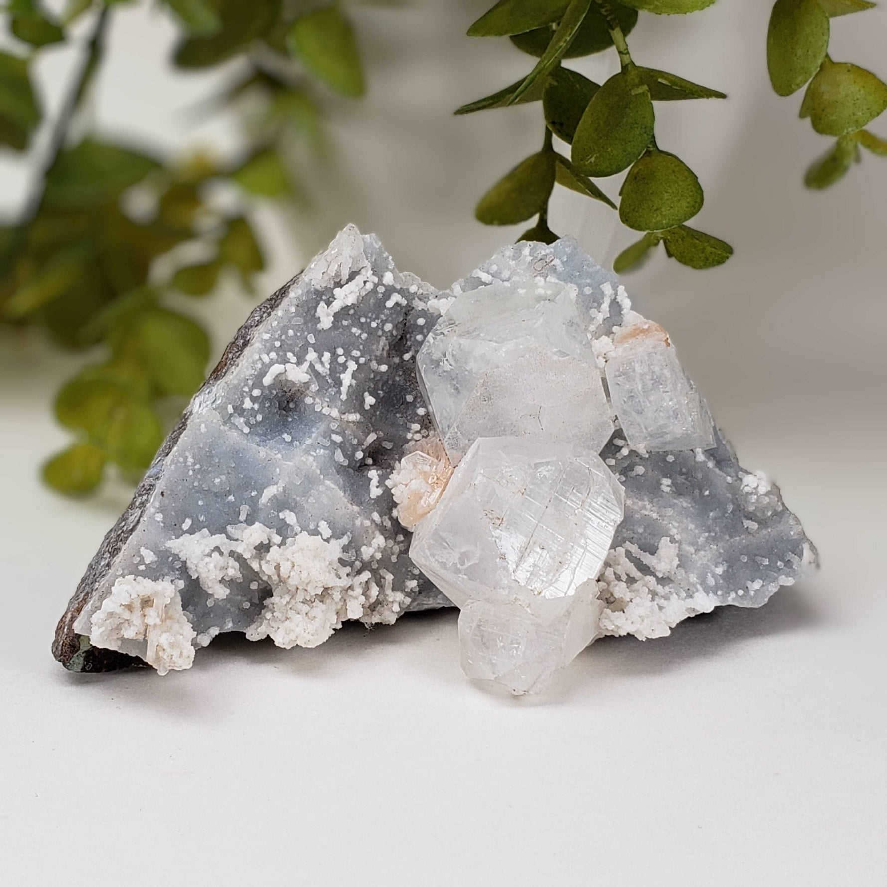  Apophyllite and Stilbite on Chalcedony Druse | 302gr | Jalgaon, India 5