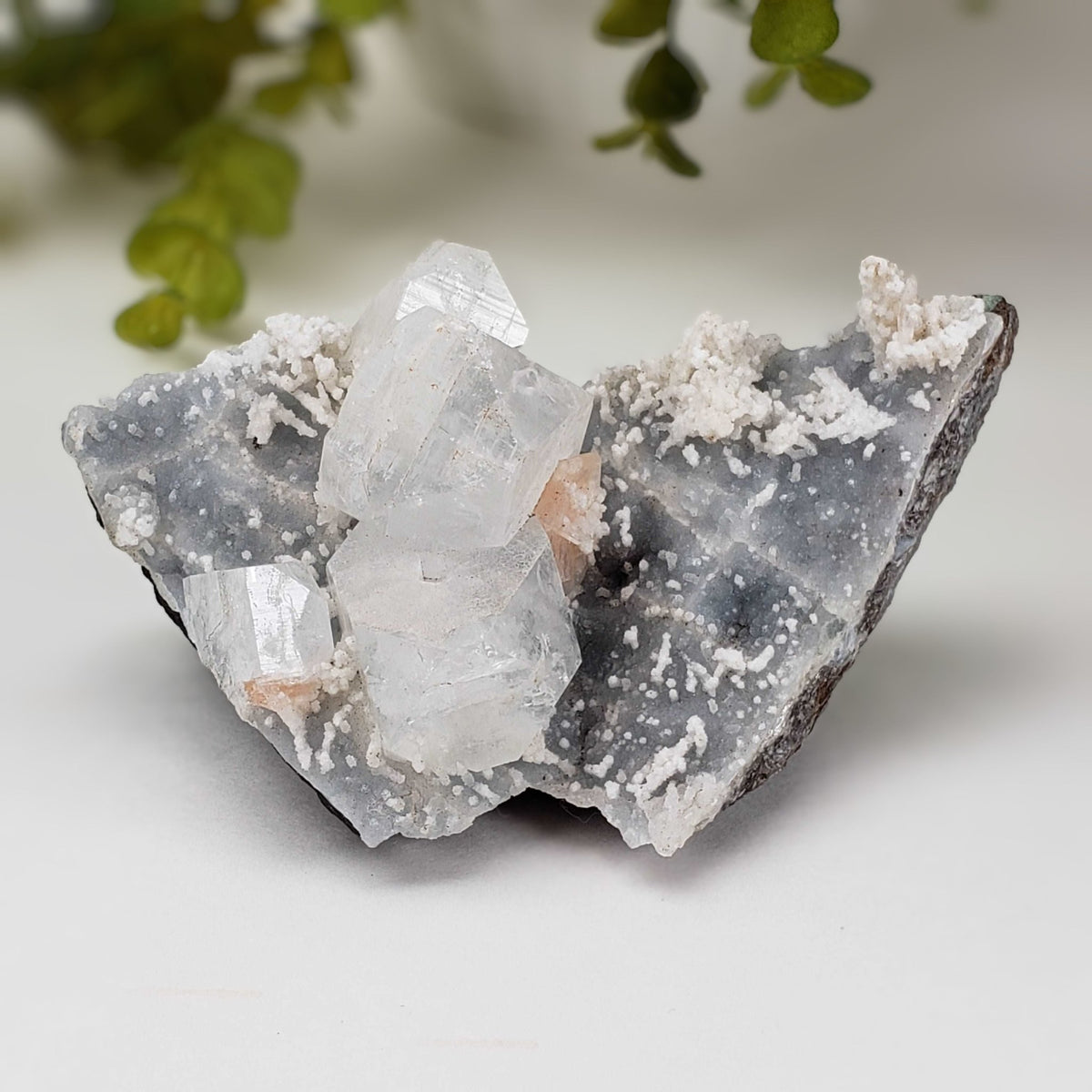  Apophyllite and Stilbite on Chalcedony Druse | 302gr | Jalgaon, India 6