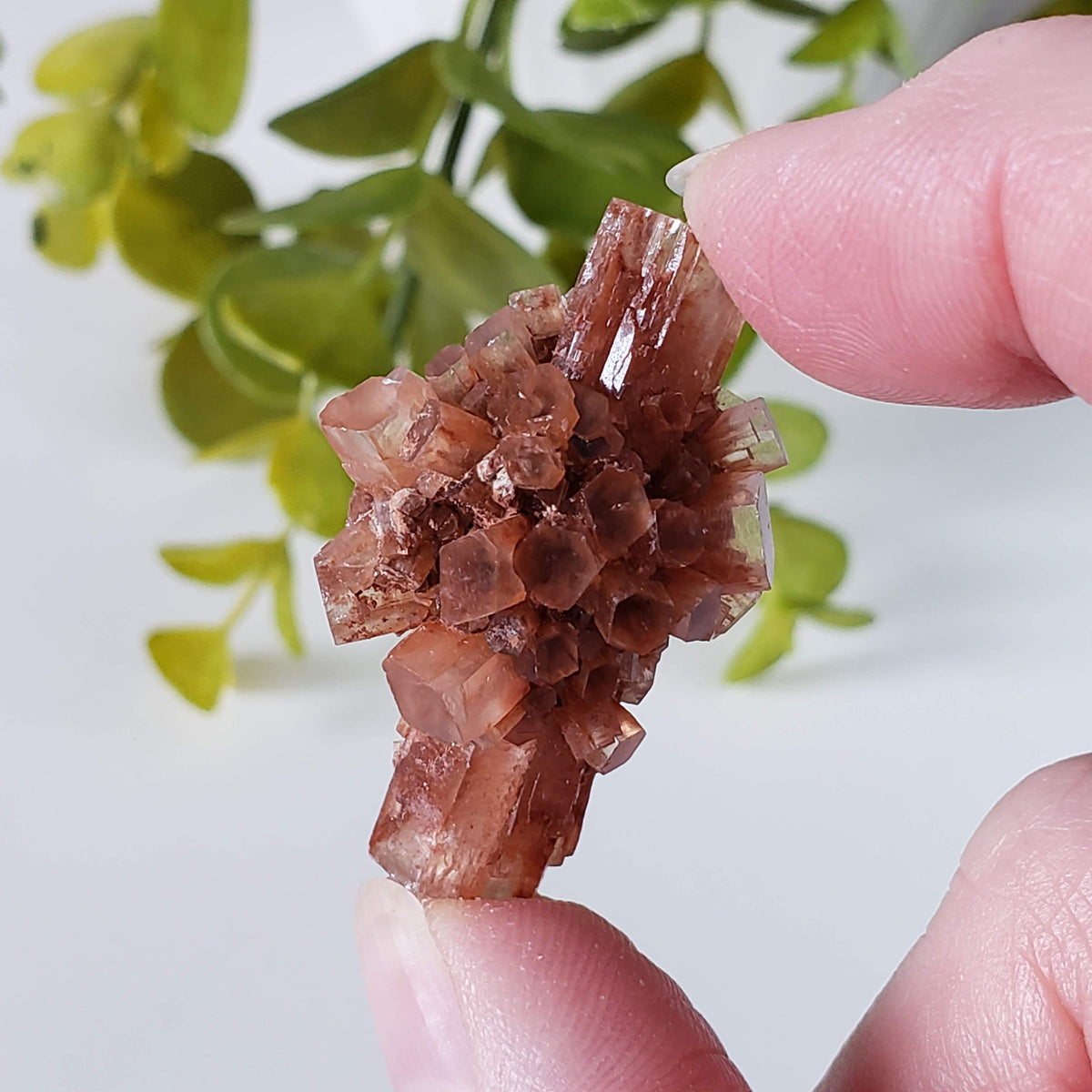  Aragonite Star Cluster | Amazing Terminations | 15.1 grams | Sefrou Ata, Morocco | SO24 8