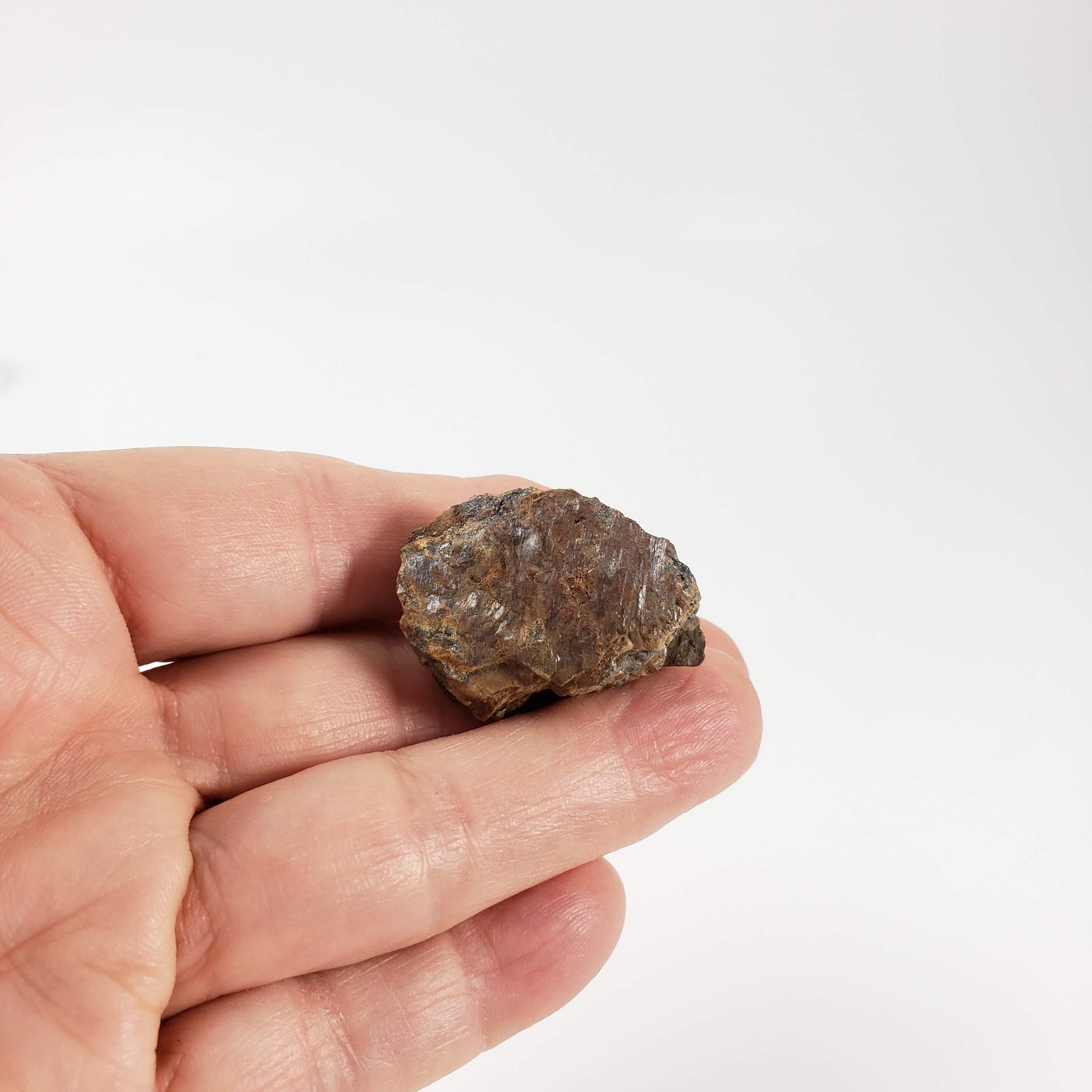  Argentiferous Tetrahedrite Crystal | 26.12 grams | War Eagle Mine, Creede Colorado 7