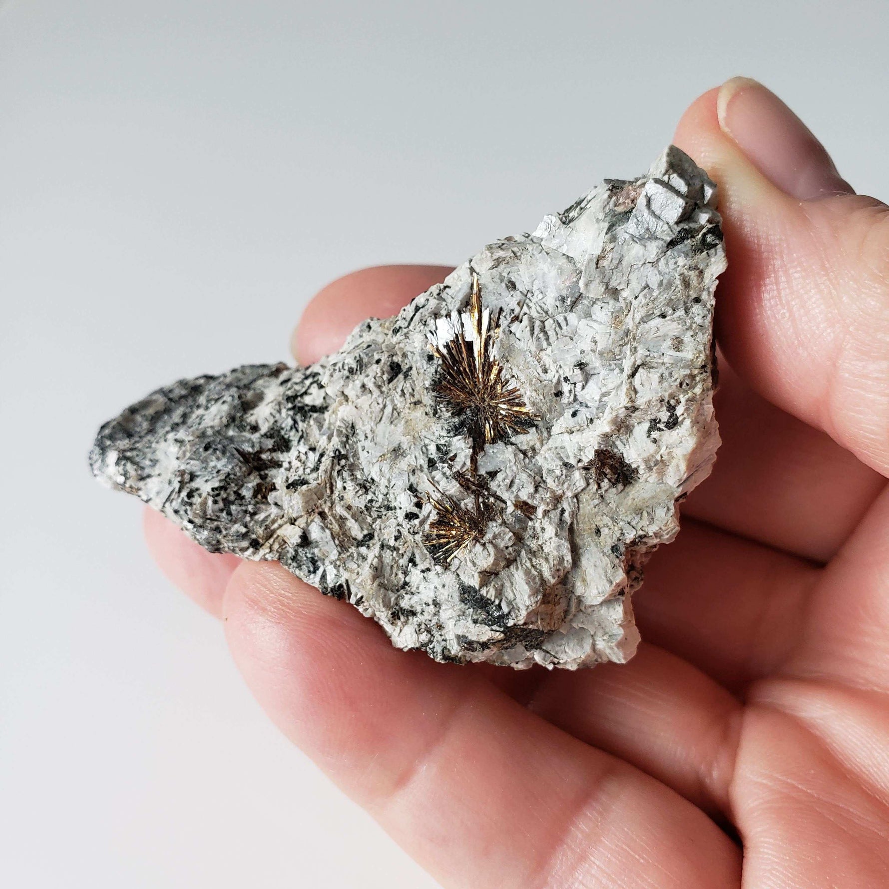  Astrophyllite Crystals | 70.7 grams | Mont Saint-Hilaire, Quebec, Canada 3