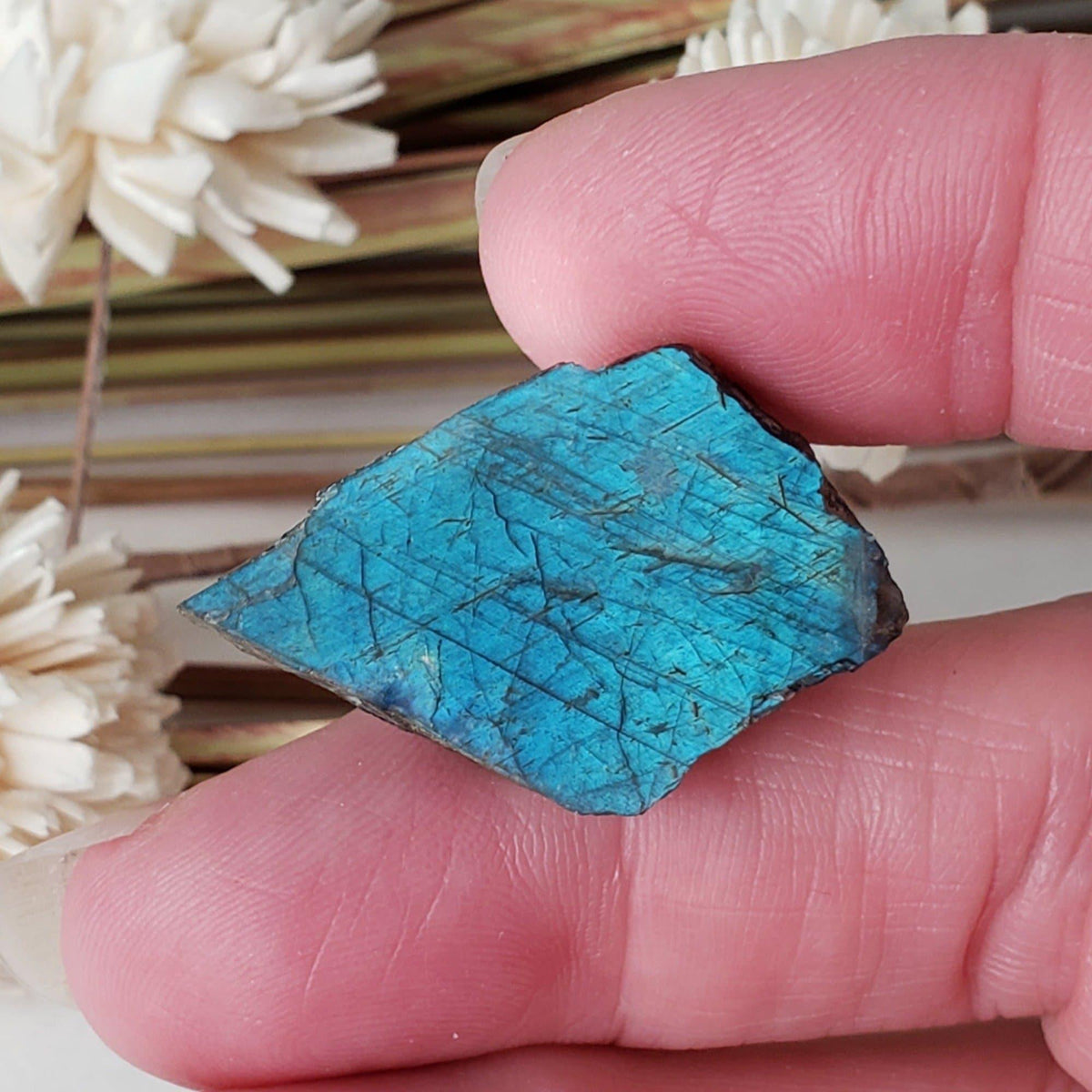  Authentic Labradorite Natural Rainbow Unpolished Stone Slice Mineral, 3 Piece Lot, 17.8 Gr, Labrador Canada SO24 