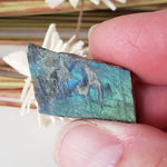  Authentic Labradorite Natural Rainbow Unpolished Stone Slice Mineral, 3 Piece Lot, 17.8 Gr, Labrador Canada SO24 5