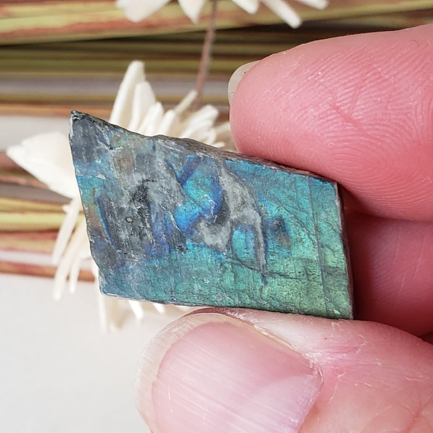  Authentic Labradorite Natural Rainbow Unpolished Stone Slice Mineral, 3 Piece Lot, 17.8 Gr, Labrador Canada SO24 5